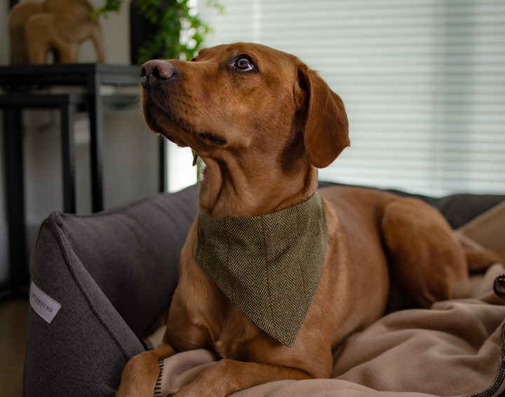 Bandana Modern Tweed Green