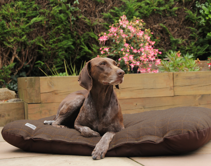 Flat Cushion Traditional Tweed Brown