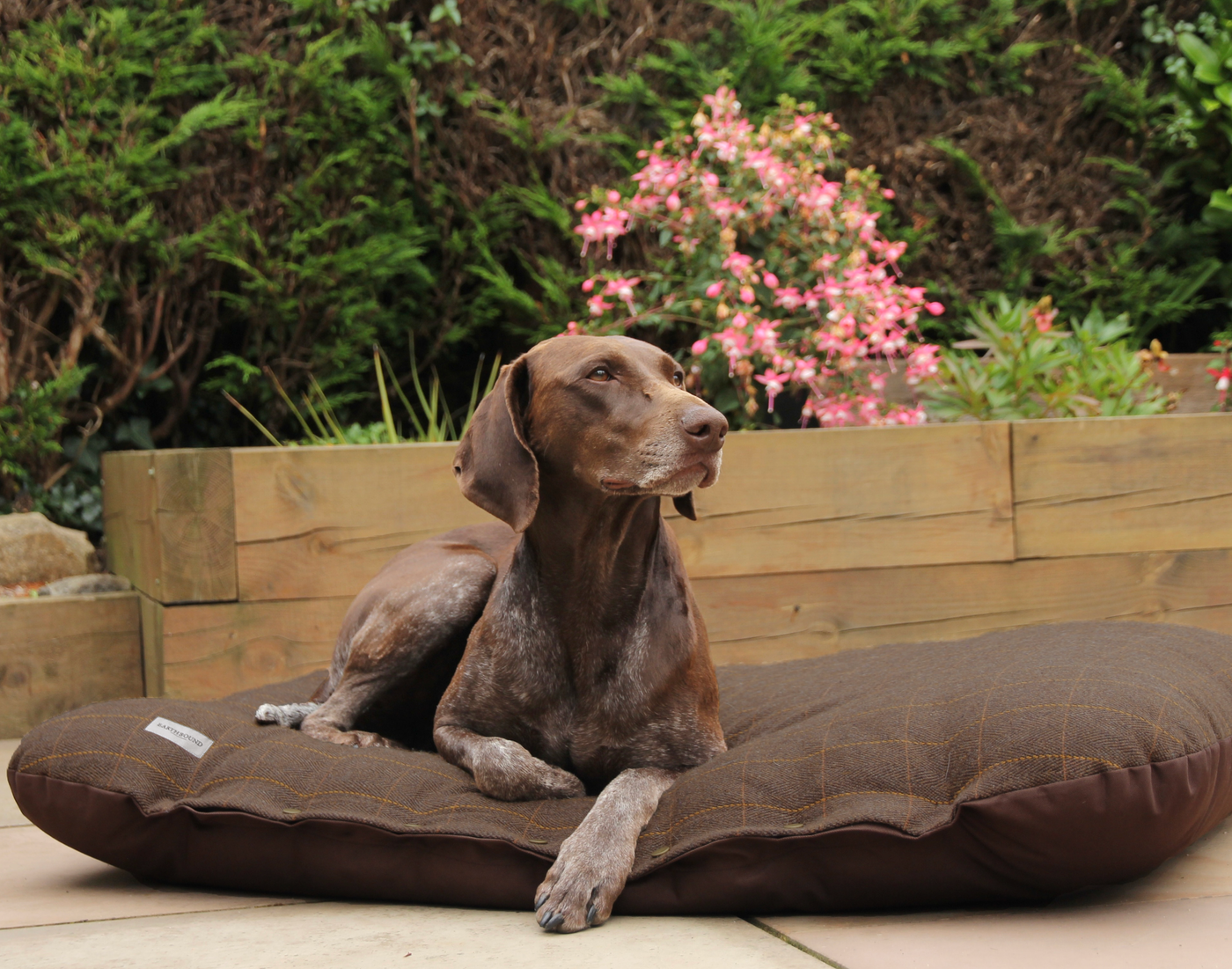 Flat Cushion Traditional Tweed Brown
