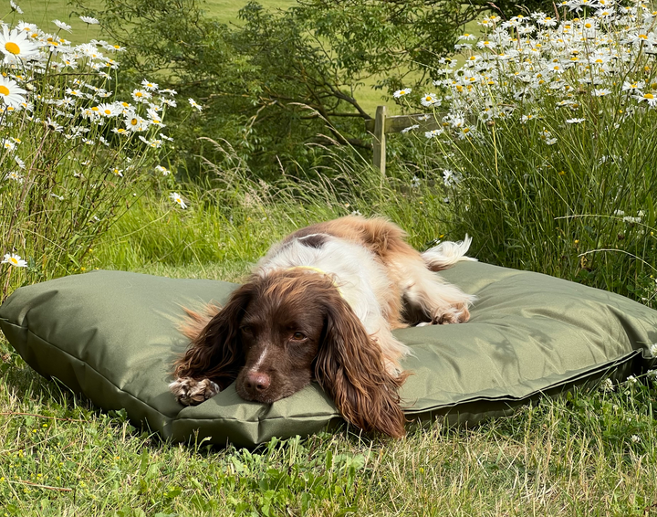 Flat Cushion Waterproof Green
