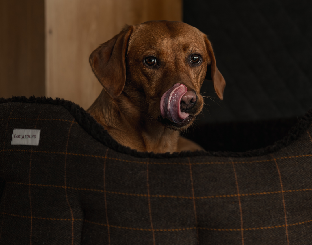 Round Traditional Tweed Bed Brown