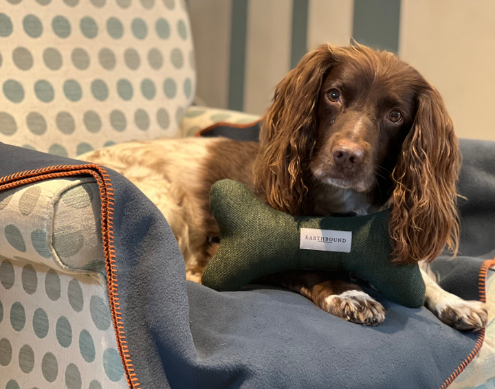 Squeaky Bone Toy Modern Tweed Pine Green