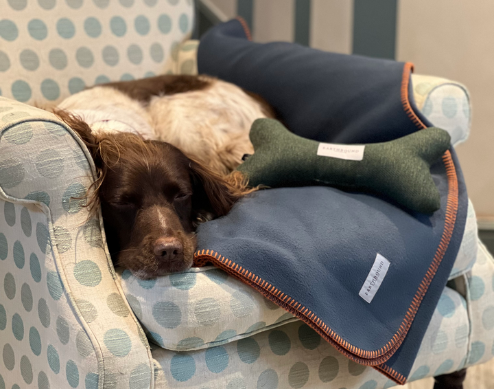 Stitched Fleece Blanket Aga Blue