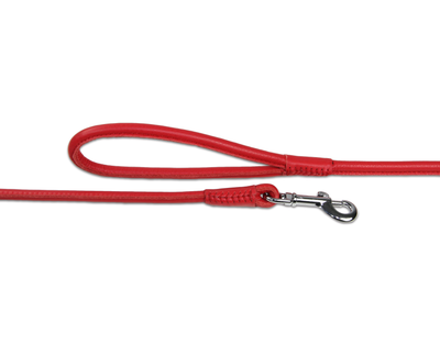 Close up of red rolled leather dog lead