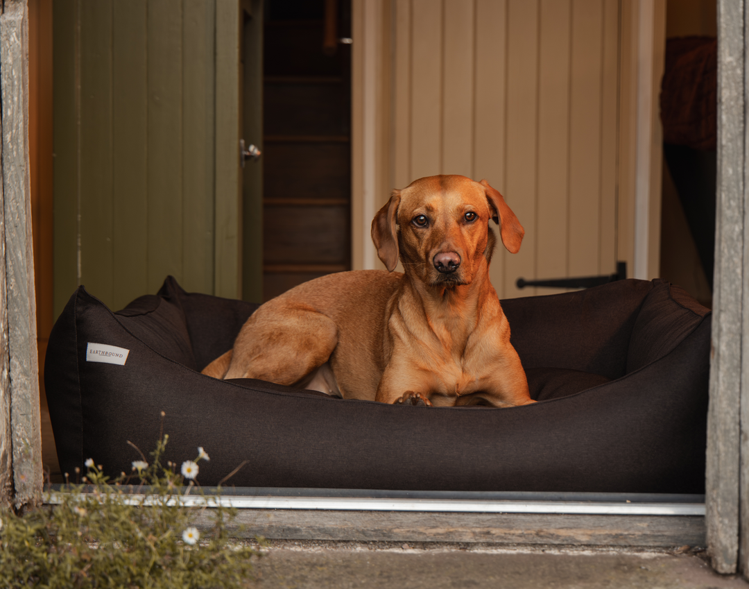 Rectangular Removable Eden Bed Spares Chestnut Brown