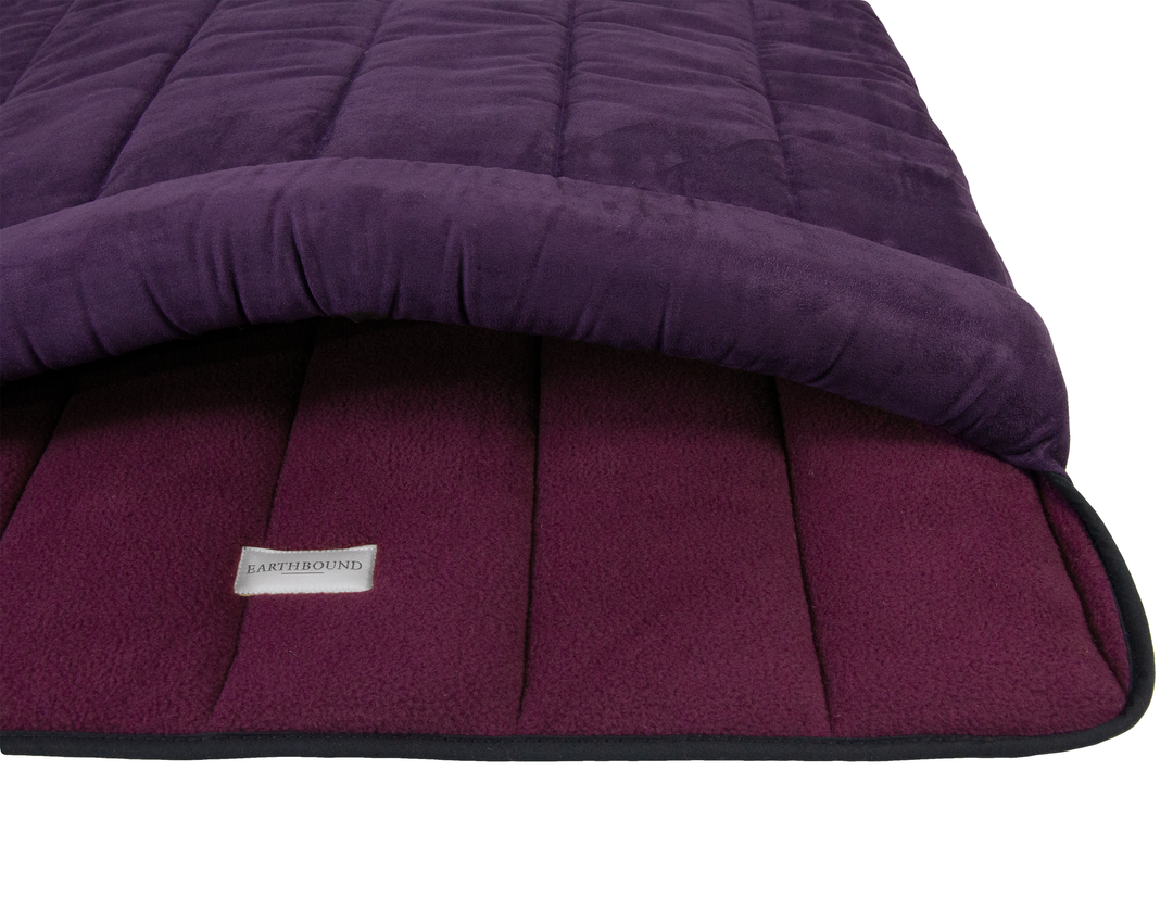 Terrier Tunnel Arched Purple