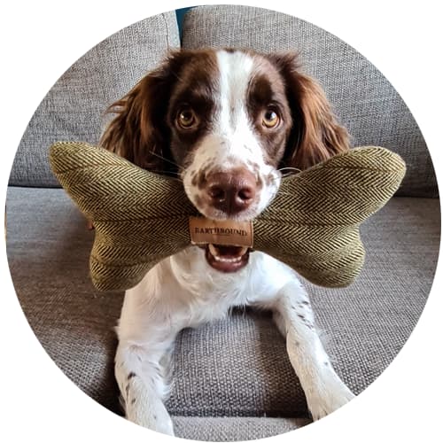 testimonial from customer for bone dog toy