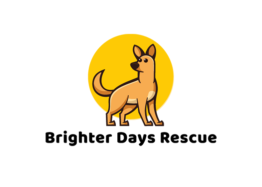 brighter days logo