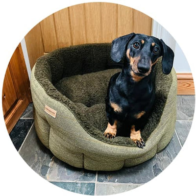 testimonial from customer for classic round green tweed and sherpa dog bed