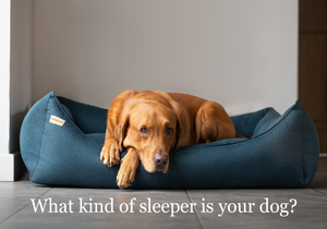 Dog beds to clearance keep them cool