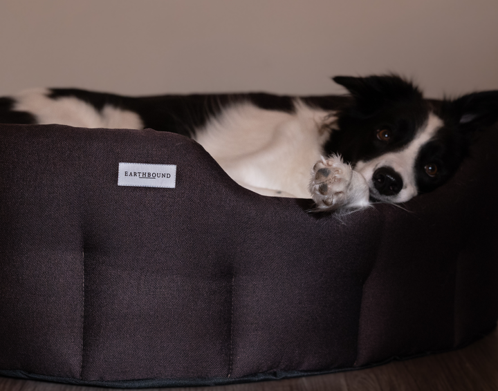 Round Camden Bed Tyrian Purple