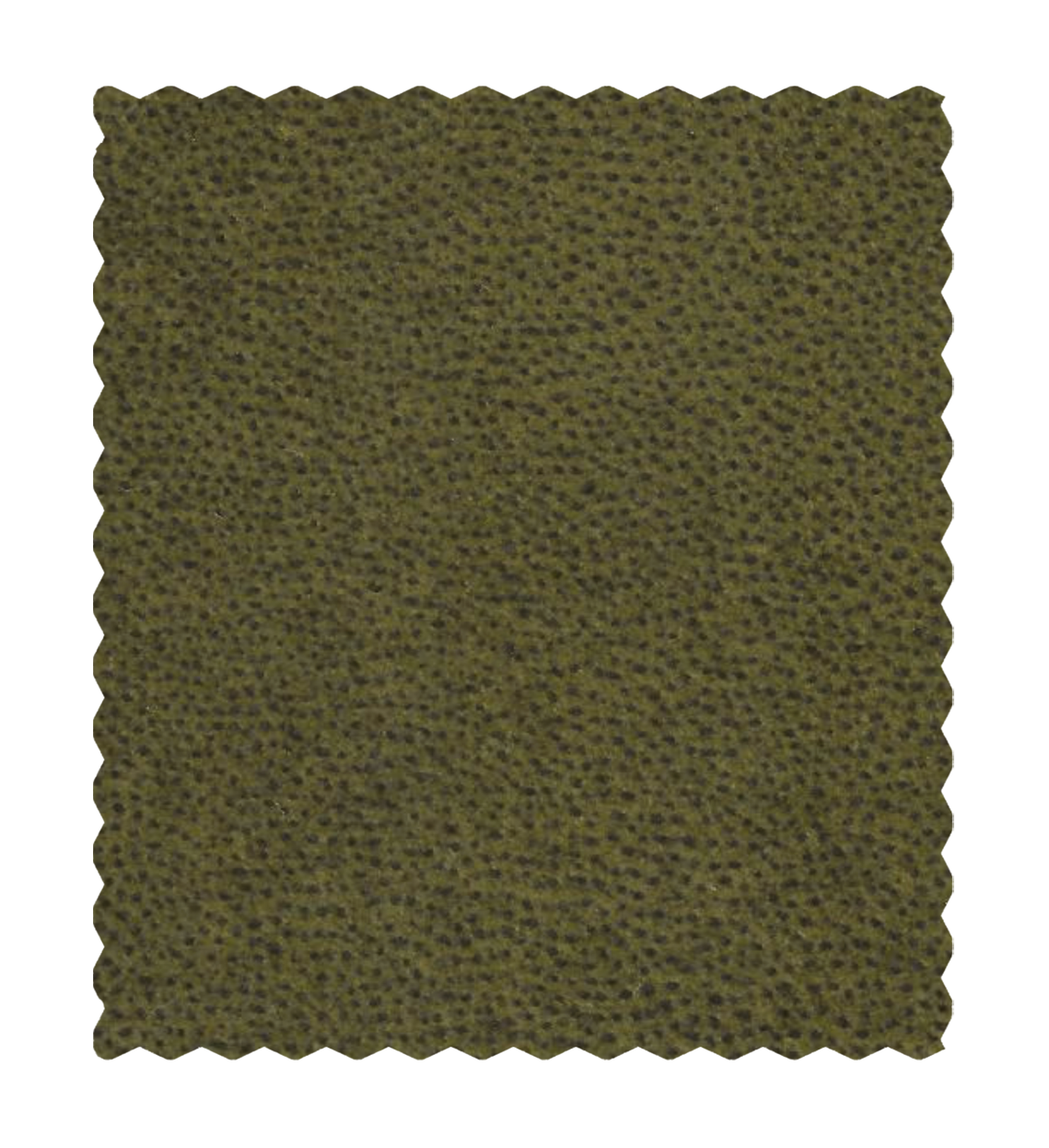 Windsor Olive Green Fabric Swatch