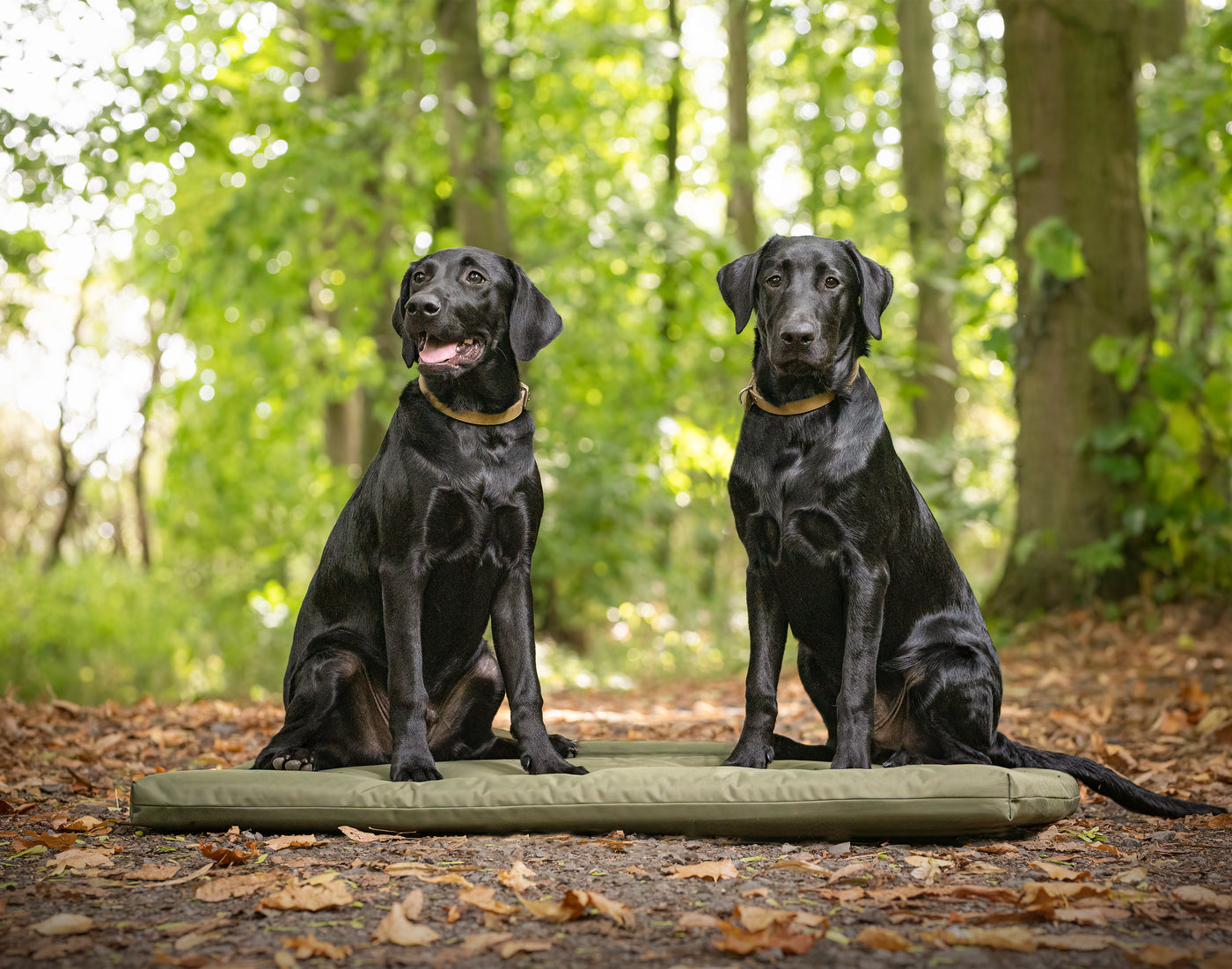 Crate Mat Waterproof Green