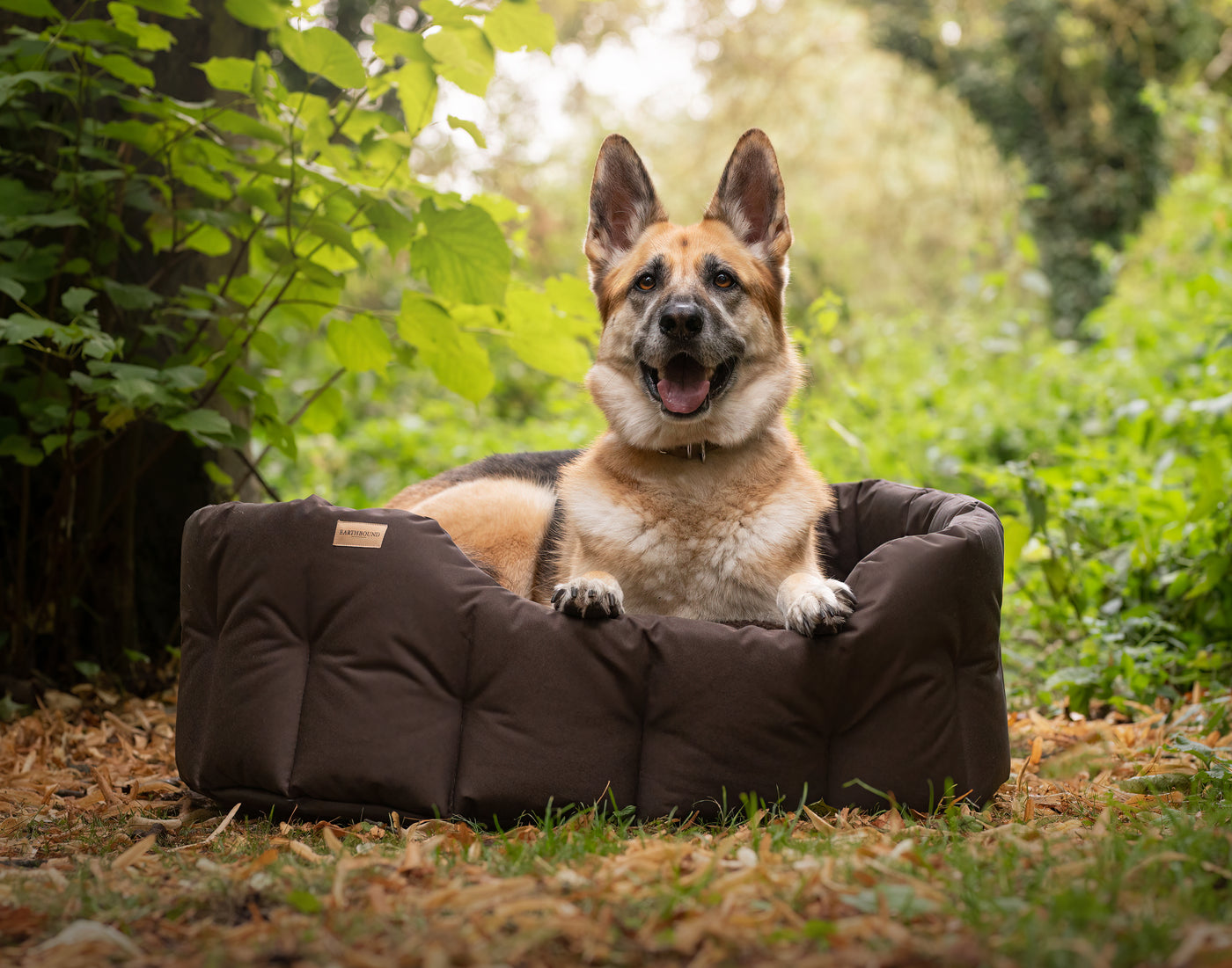 german shepherd sitting in a classic round brown waterproof dog bed