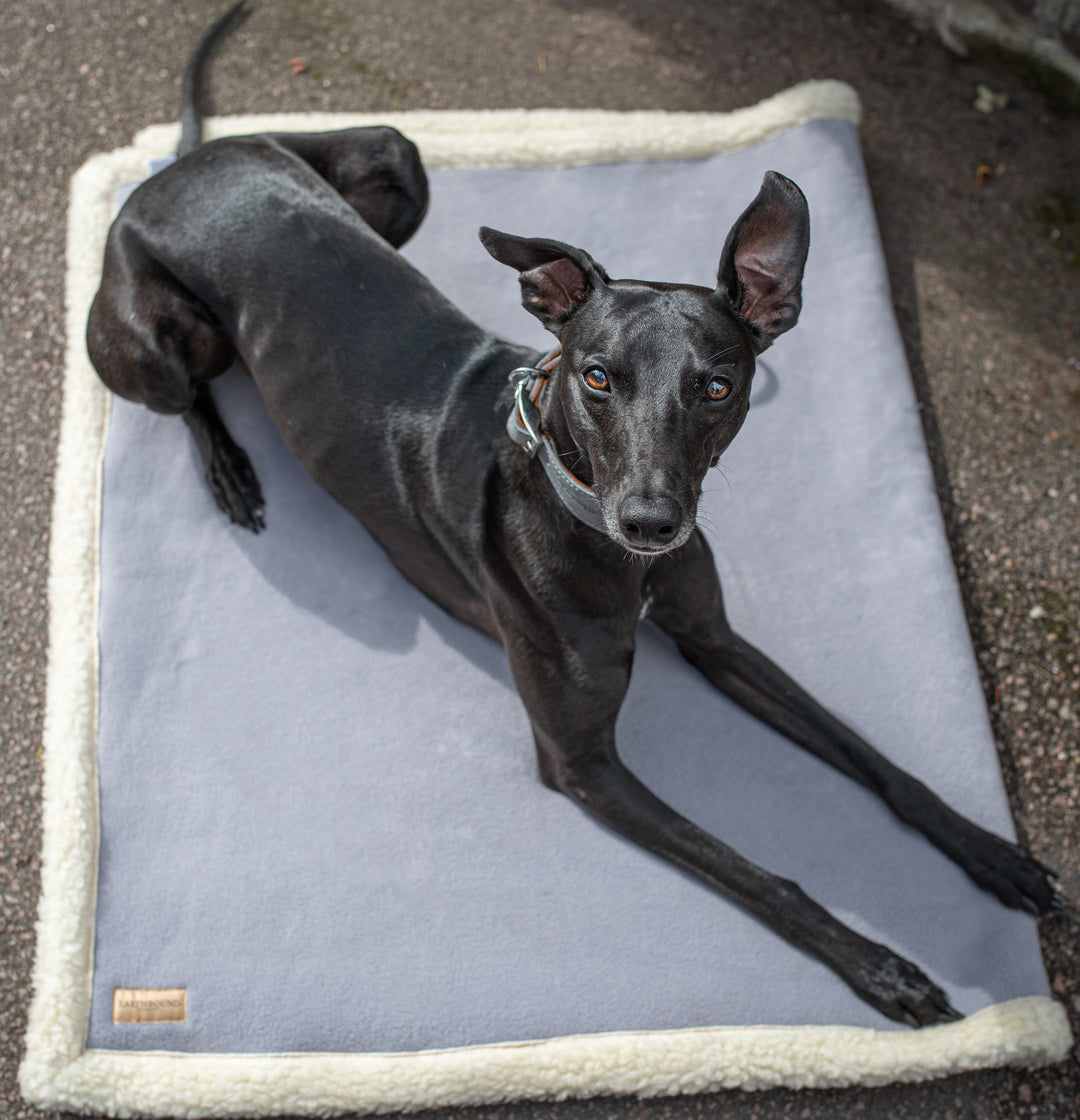 Sherpa Fleece Pet Blanket Grey – Earthbound UK