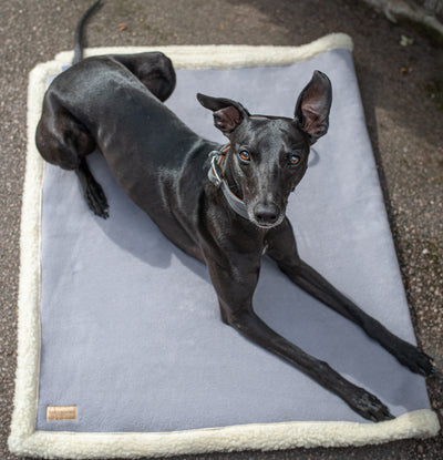 dog lying down on a sherpa dog blanket in grey