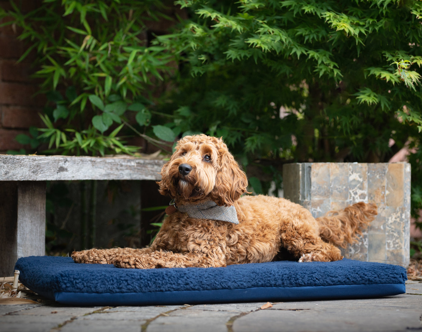 Cockapoo sitting on a navy sherpa removable cover dog crate mat whilst wearing a tweed beige bandana