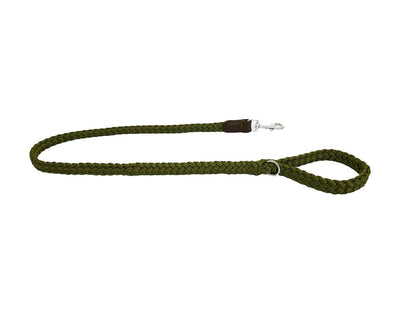 Green braided nylon leather dog lead