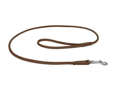 brown rolled leather dog lead