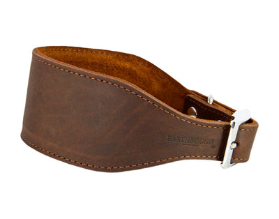 Leather whippet dog collar brown